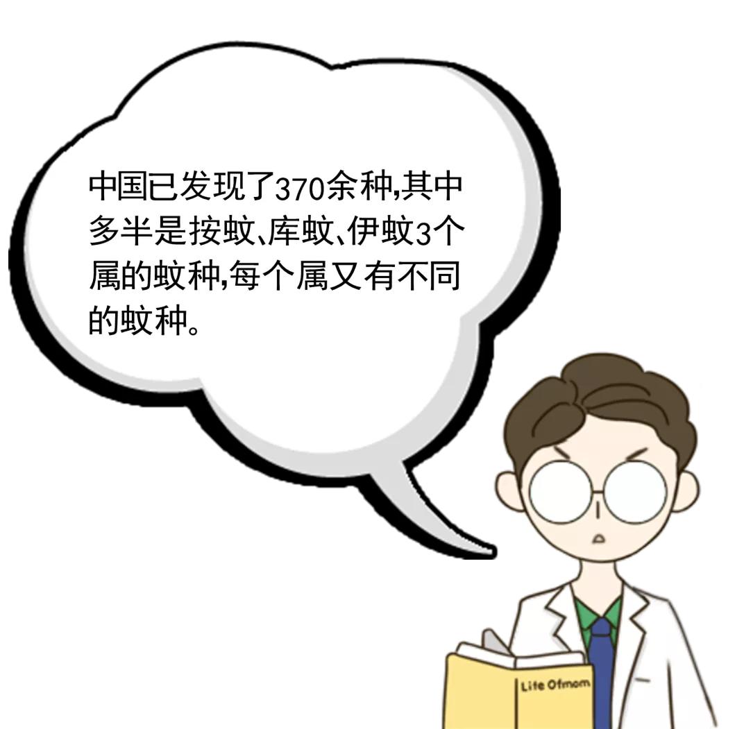 同样是被咬，为啥你的包又痒又大？