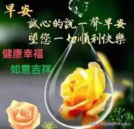 新版早上好问候语动态图片大全,周三最新早安问候语动态图片表情
