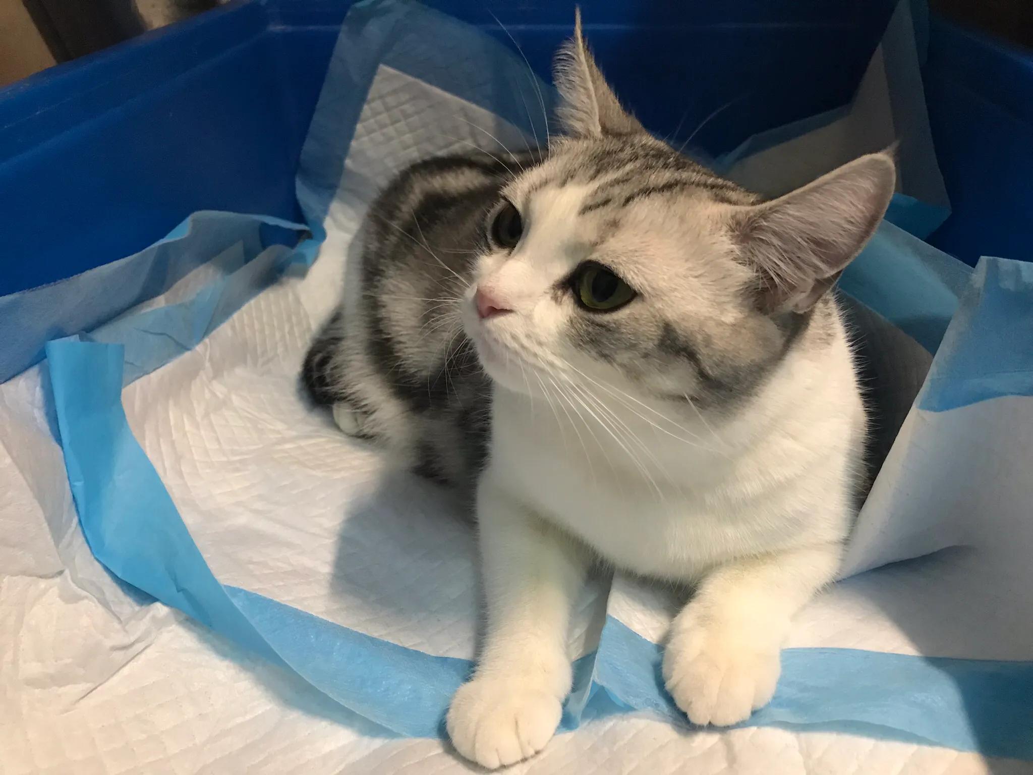 明天我的小屁屁要去深圳了