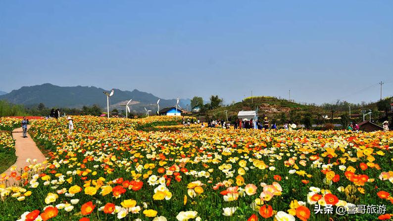 重庆垫江县有什么旅游景点,重庆垫江县旅游必去十大景点推荐