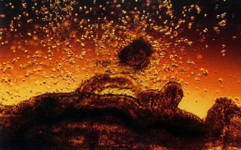 生命萌芽，就充满争斗攻击伤痛：你的出生，已经PK赢了千军万马