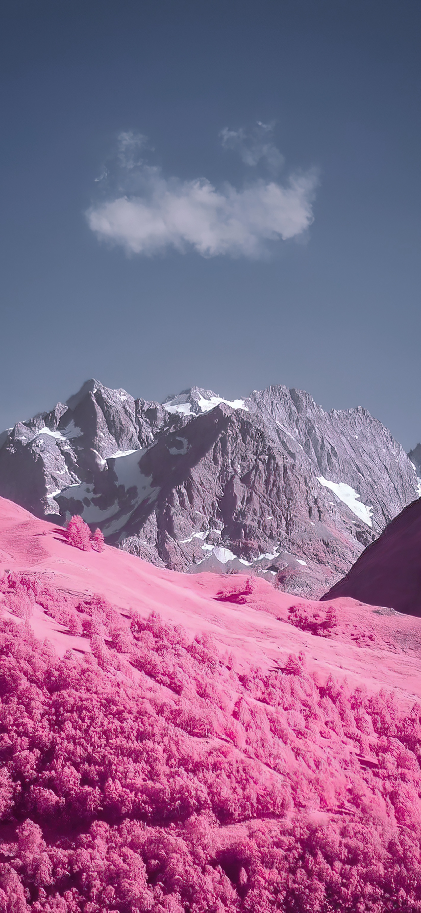 高清花和水的结合壁纸,风景壁纸高清全屏高级感组合