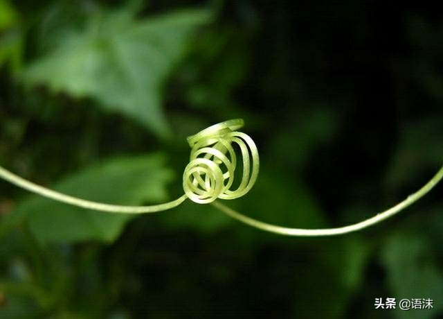 老实人接盘侠视频,老实人接盘的表现