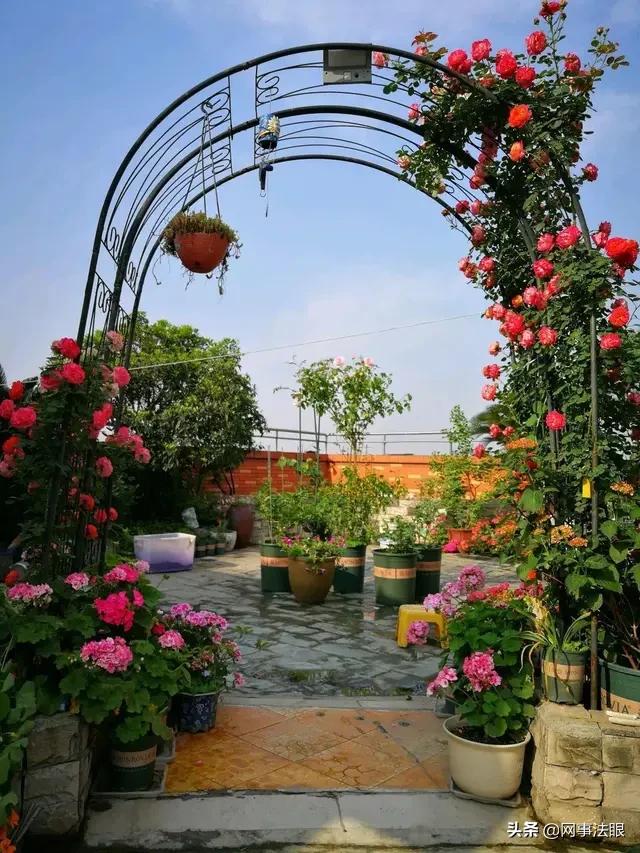 李倩雯越秀法院,律师李倩雯