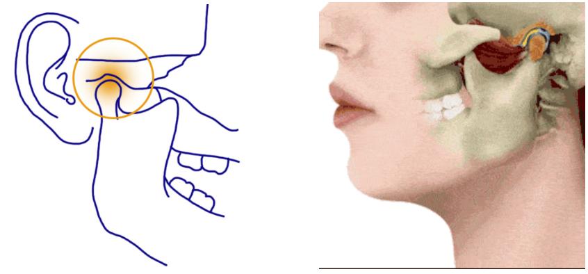 吃东西下巴咯噔响怎么了,吃东西下巴一侧嘎嘣响怎么回事