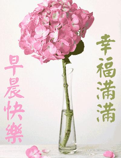 微信特好看早上好问候语表情图片,早上好微信问候语大全带表情包