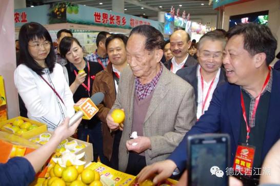 德庆贡柑之乡,德庆贡柑高端礼盒