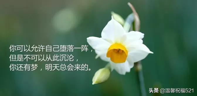 朋友圈触动人心的早安说说,最触动人心的早安句子