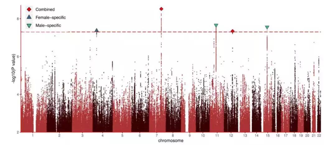 “同性恋基因”是否存在？50万人新研究给出回答