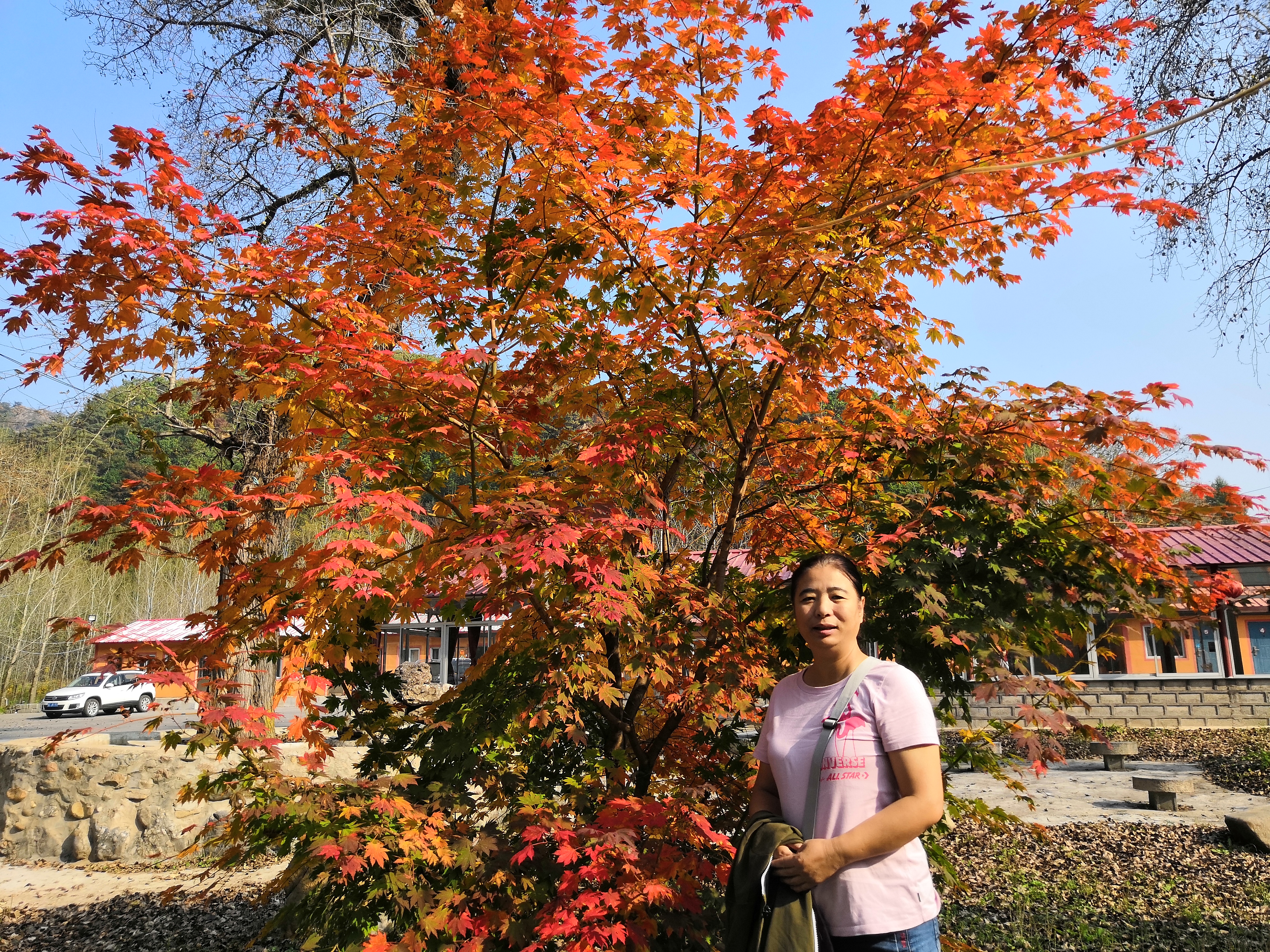 本溪桓仁旅游攻略自驾游,十一本溪桓仁枫叶自驾游攻略