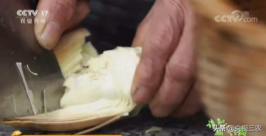 冬笋没能去除麻涩味吃了有害吗,冬笋如何焯水去涩味放冰糖和白醋