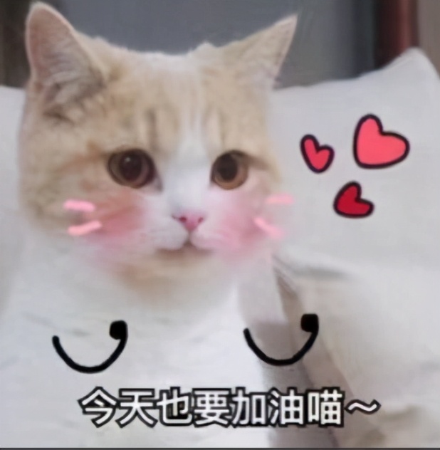 荒野健康循环训练视频,战绳提高心肺功能的训练