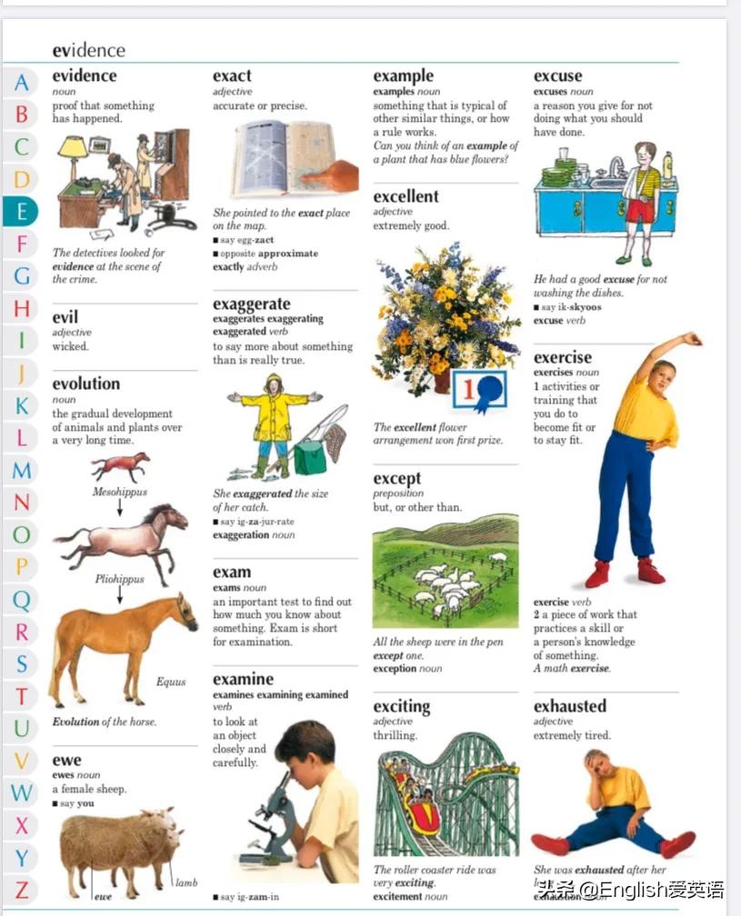 dk图书适合多大孩子,儿童英语字典图解