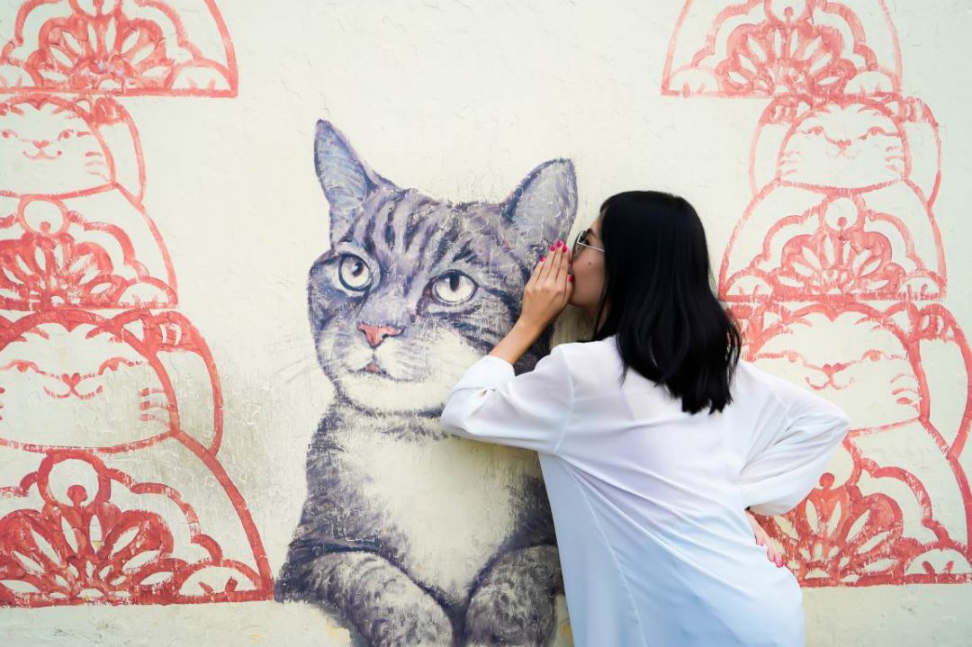 一价全包的邮轮价格,一价全包境外旅游游轮