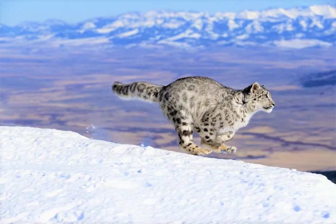 一座比珠穆朗玛峰还难登的雪山,有一座山比珠穆朗玛峰还要高