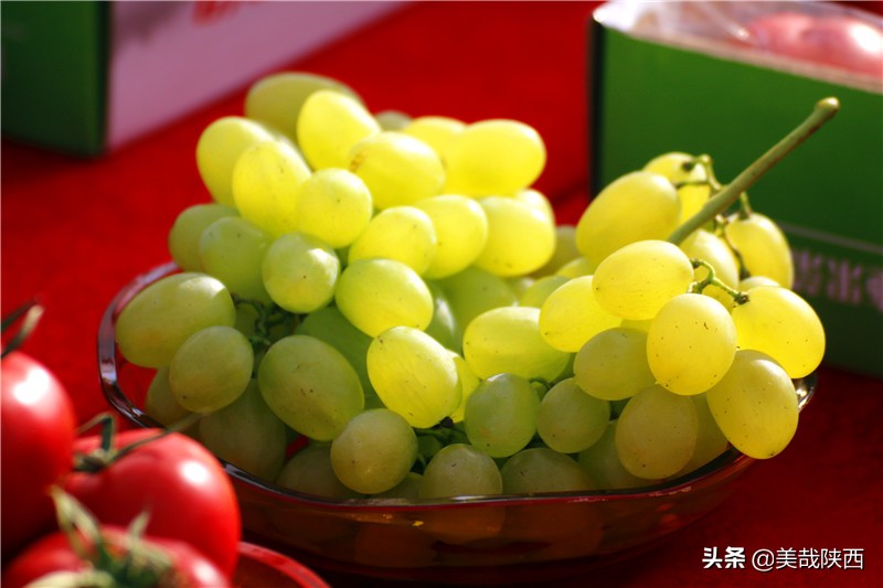 水果之乡陕西大荔,不讲理的大荔县典故