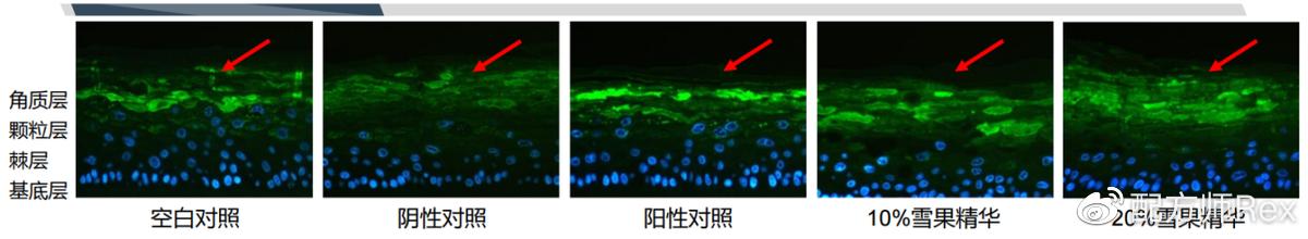 新西兰抗衰老药,新西兰初抗老