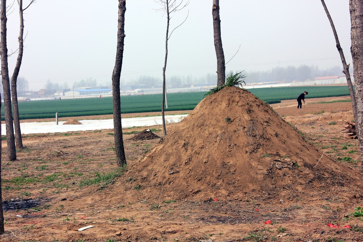 农村墓地拆除新政策,农村墓地清理通告