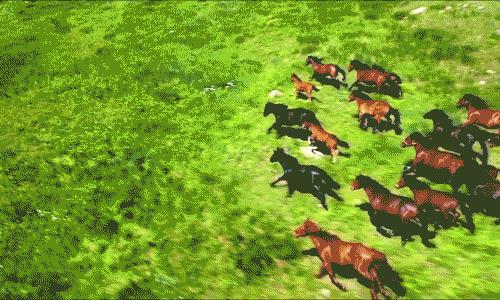 外省人眼中的巴彦淖尔,内蒙古人在外地人眼中的样子