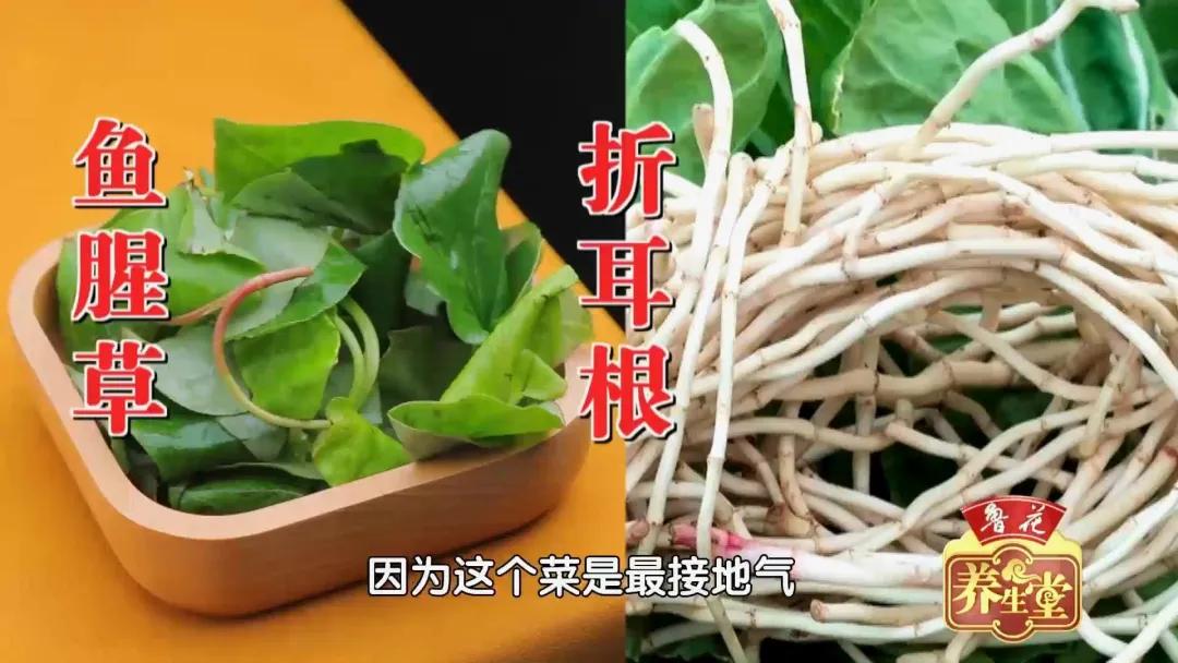清湿热健脾胃吃什么菜,健脾胃祛湿食材配方