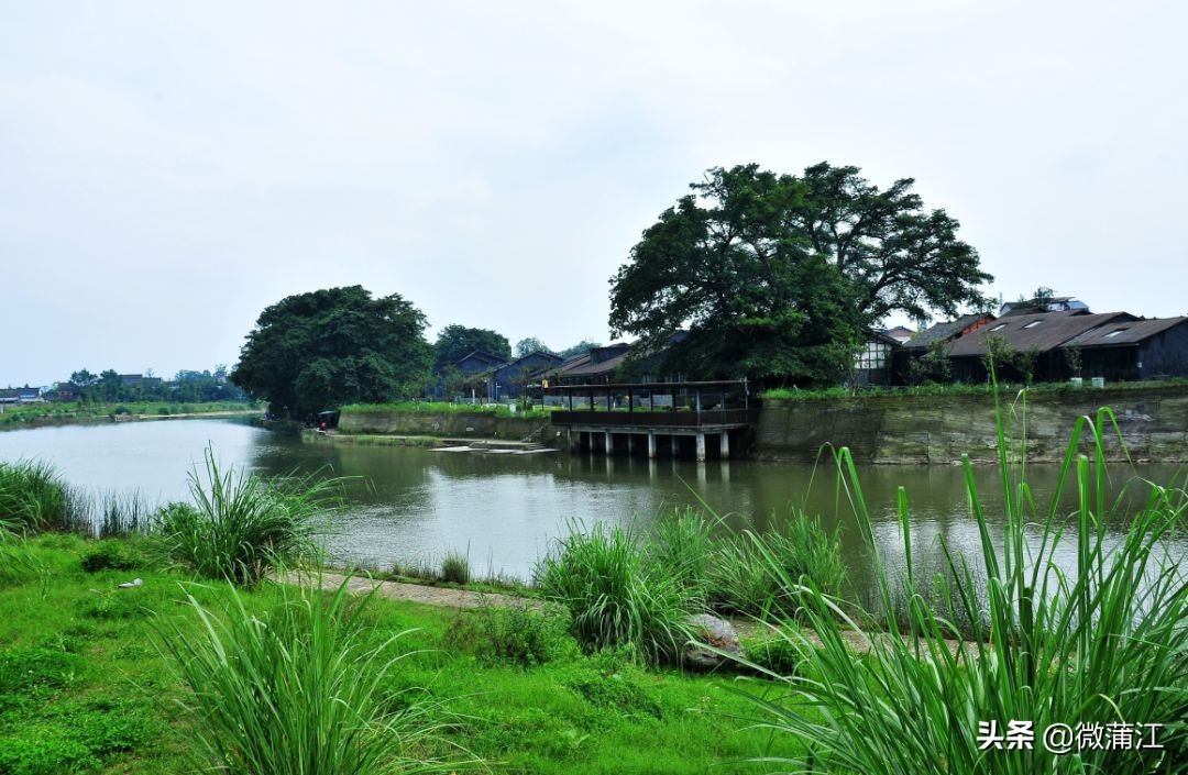 探访深山竹林倍感神清气爽,蒲江遥望雪山感受诗意栖居