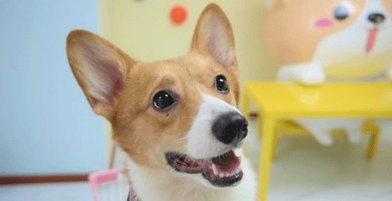 专门摸屁股的店，任摸