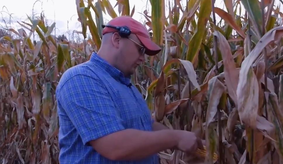 美国农场有多厉害,美国的农场