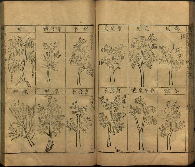 李时珍本草纲目书目录,李时珍本草纲目下卷