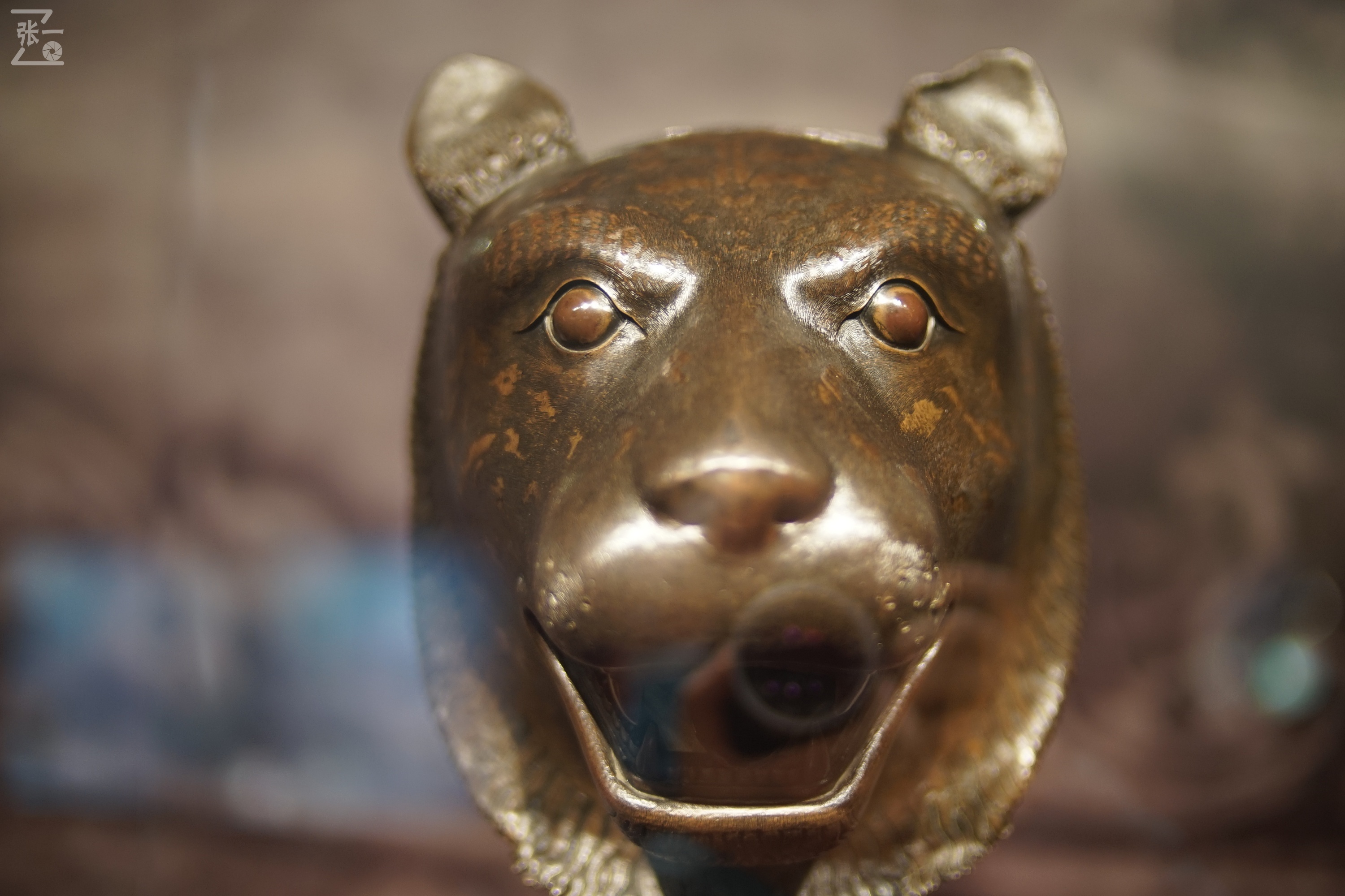 中国产微单,24-135镜头索尼