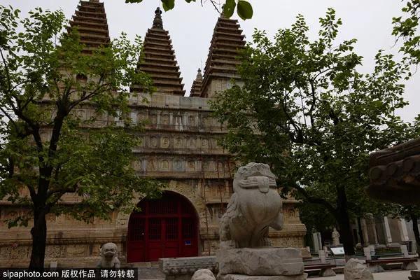 五月赏芍药花的地方,四月下旬北京赏花好去处