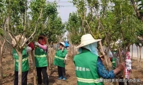 园林栽培与养护,园林树木养护管理修剪方式