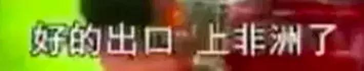 交易猫被央视曝光,收养流浪狗的真实记录