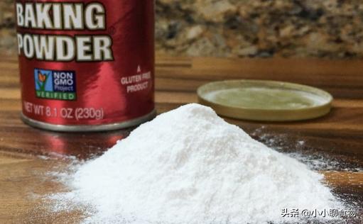 面点制作大全面粉,制作面点撒面粉视频