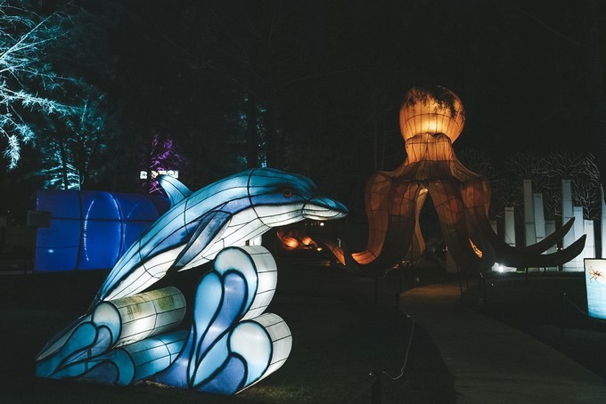 印尼巴丹岛和民丹岛哪个好玩,新加坡印尼岛屿攻略