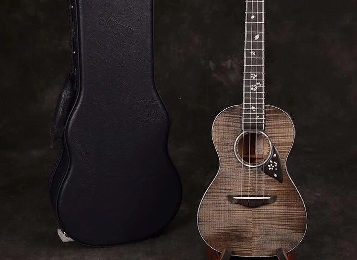 木吉他拾音器构造图,木吉他构成