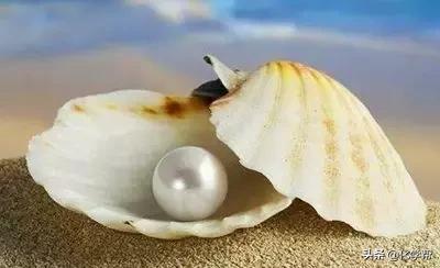 有关化学知识诗句,古诗词里的化学科学