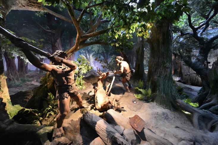 上海拥有多少年的历史,上海的历史应该从哪里开始