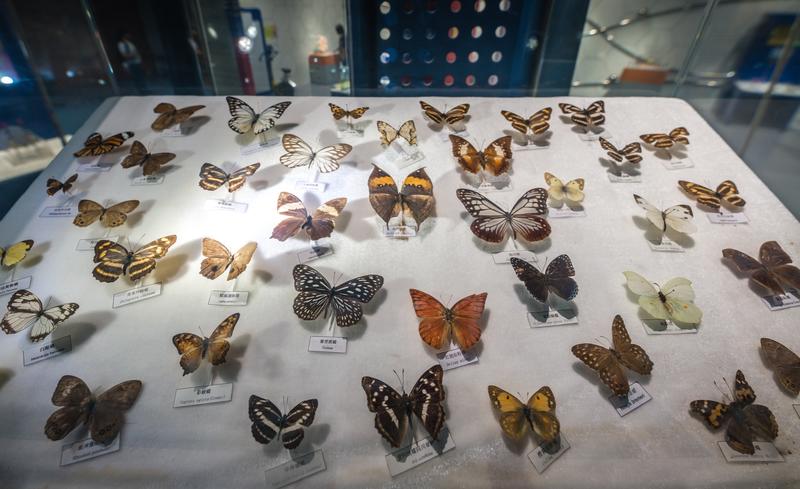 厦门冬春攻略,夏天厦门旅游攻略美食篇