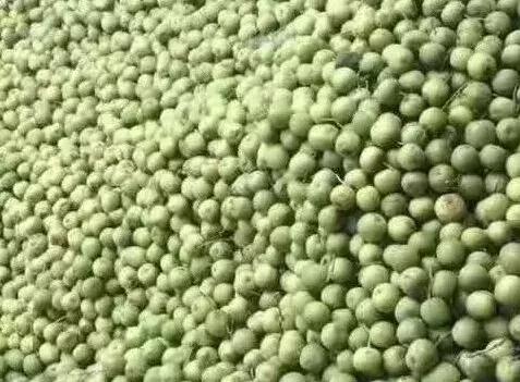 什么样的核桃漂亮,什么样的核桃不苦涩