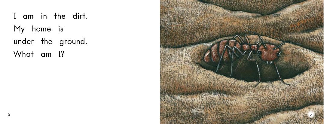 英语小绘本myhouse,whatami绘本