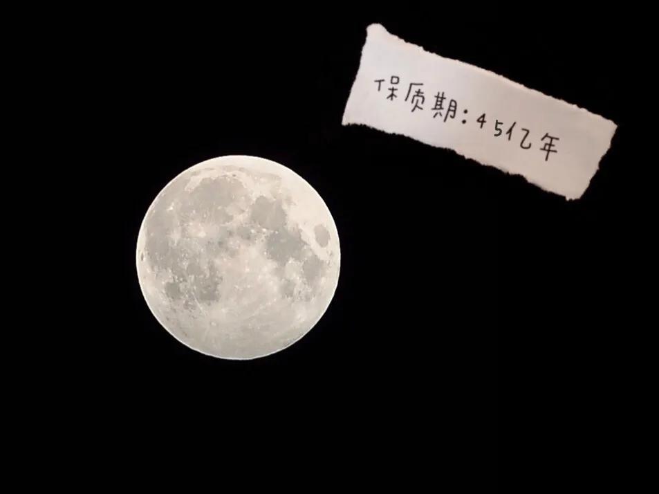 成年人就是过期的小朋友,成年人也只是过期的小朋友而已呀