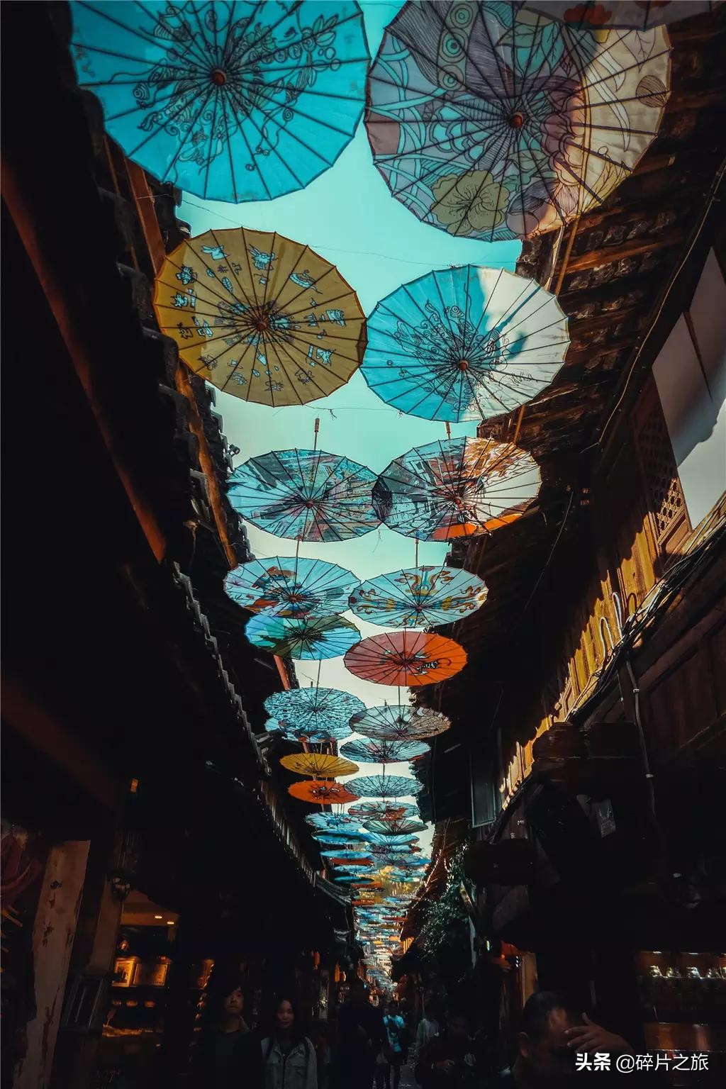 云南九日游纯玩团,云南九日游最佳路线