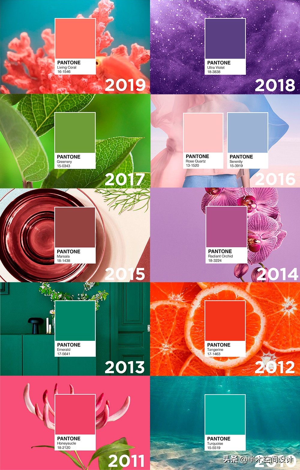 pantone2024年度代表色,pantone发布2024年度代表色