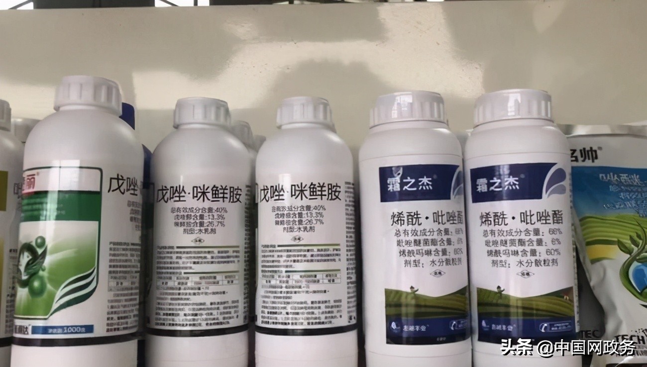 两个月都不烂的沃柑,为什么果农不吃沃柑