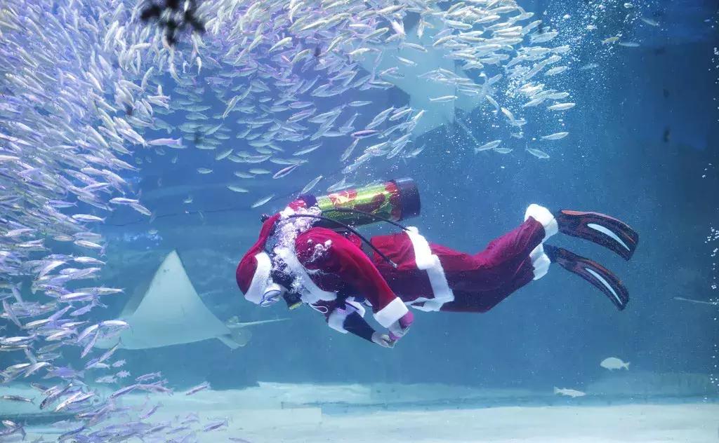 西安最奇幻的商场献上圣诞大礼！跨年更有“夏天的风”温岚助阵~