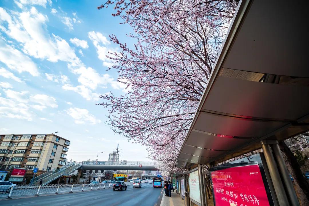 大连是座浪漫的城市,大连这座城市真的好美