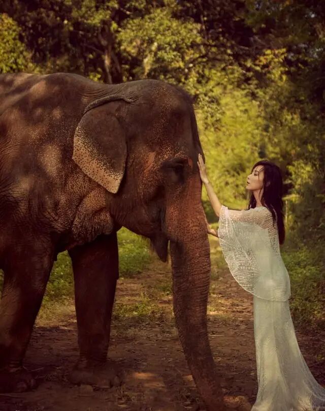 胡静穿黑色衣服,胡静露肩装