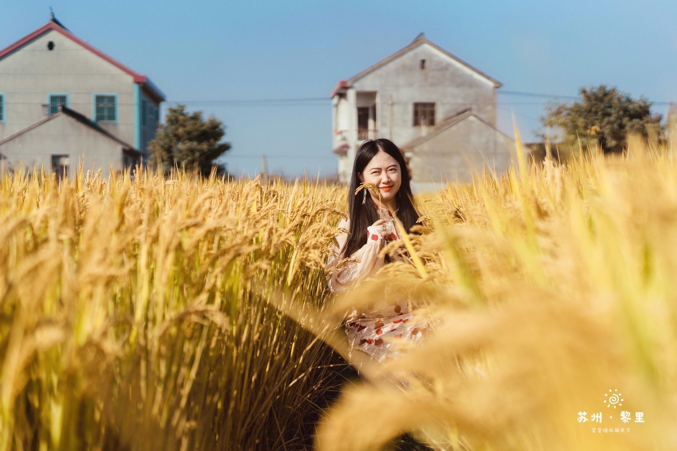 江南小众古镇视频,江南水乡小众又出名