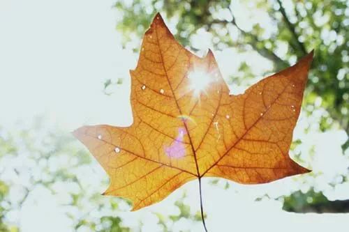 腾讯面试题：微信抢红包算法详解