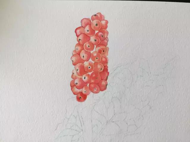 水彩密密麻麻的树叶怎么画,水彩画教程入门叶子